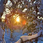 Wilderness Muotka&igloos Hotelli