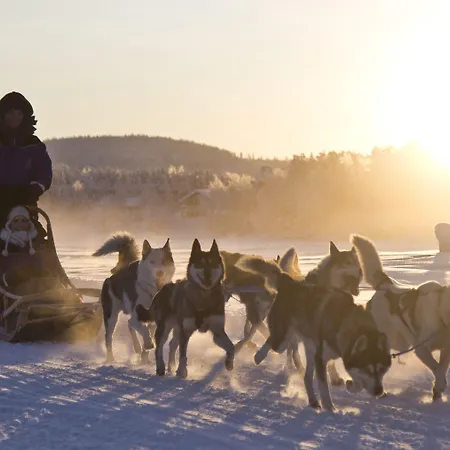 Wilderness Muotka & Igloos 4*