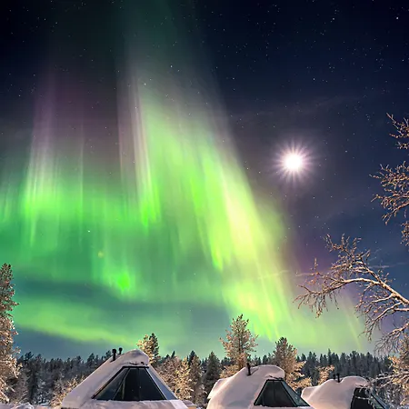 Wilderness Muotka & Igloos