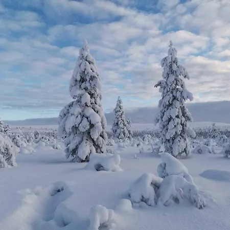 Wilderness Muotka & Igloos Hotel 4*
