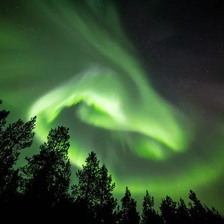 Wilderness Muotka & Igloos 4* Saariselkä