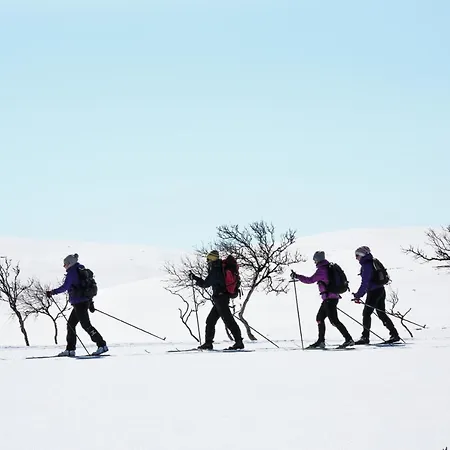 Wilderness Muotka & Igloos Hotel Saariselka