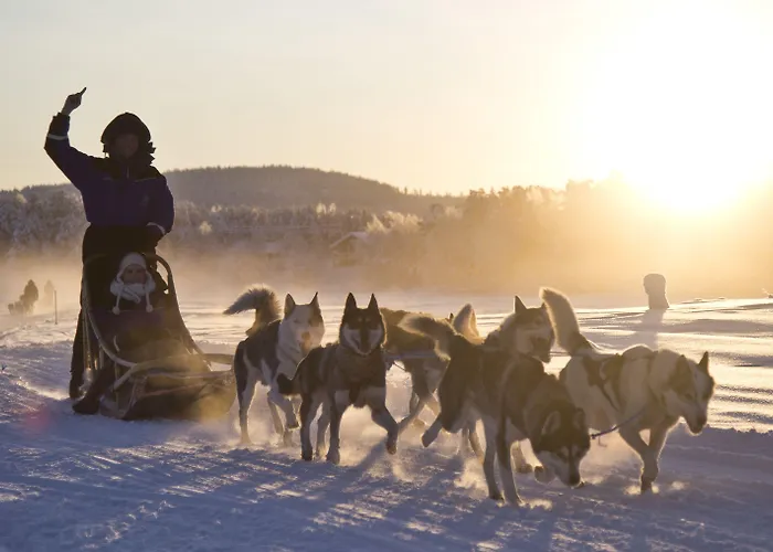 Wilderness Muotka & Igloos 4*