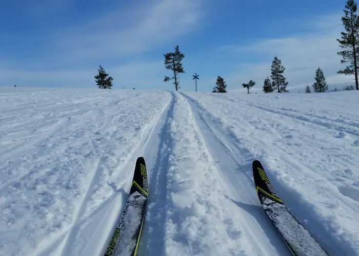 ホテル Wilderness Muotka & Igloos サーリセルカ