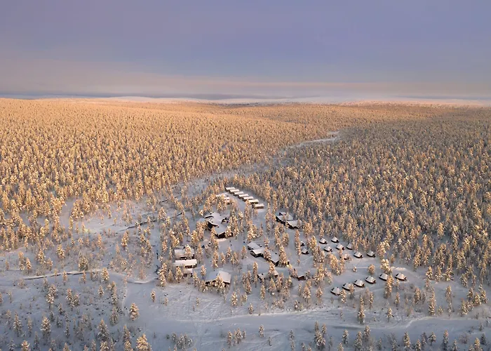 Wilderness Muotka & Igloos ホテル