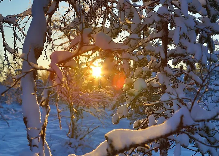 Wilderness Muotka & Igloos Hotel