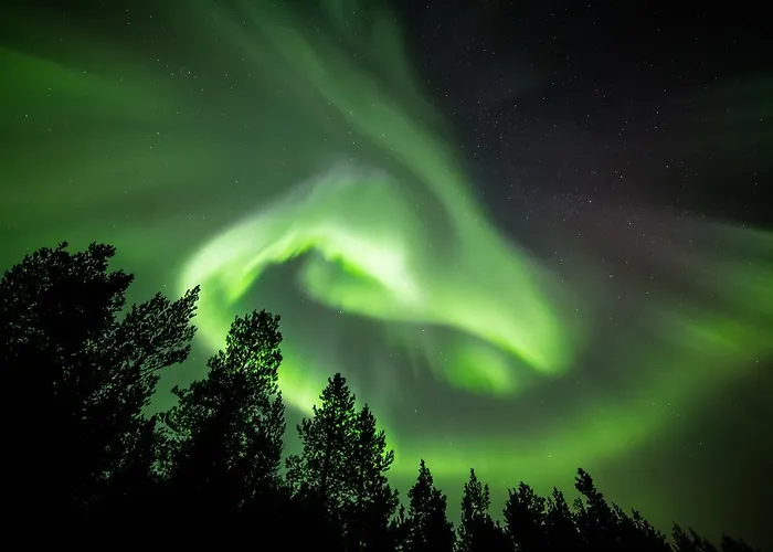 Wilderness Muotka & Igloos 4* サーリセルカ