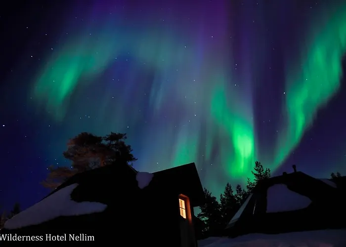 ホテル Wilderness Muotka & Igloos