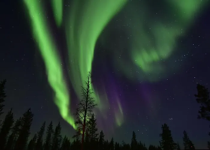 Wilderness Muotka & Igloos ホテル サーリセルカ