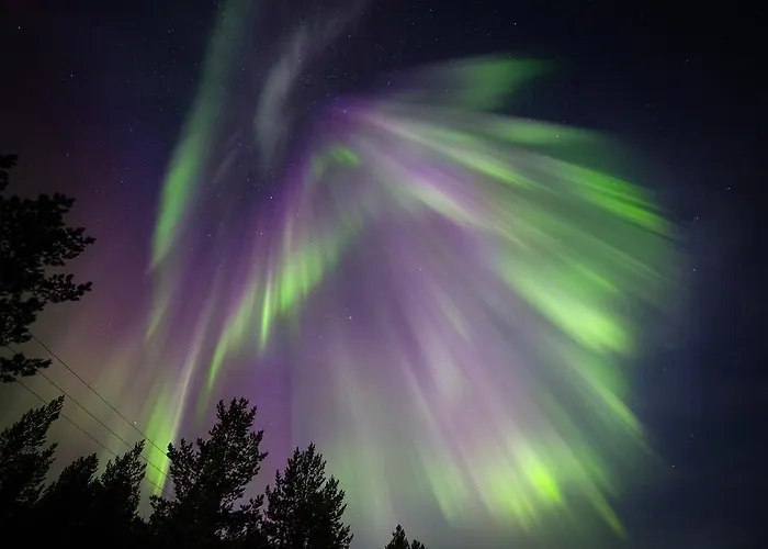 ホテル Wilderness Muotka & Igloos 4*