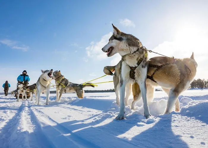 Wilderness Muotka & Igloos ホテル サーリセルカ