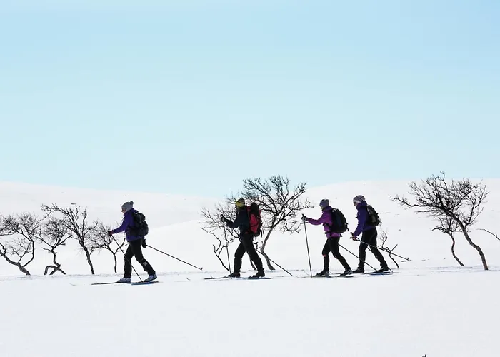 Wilderness Muotka & Igloos Hotel Saariselkä