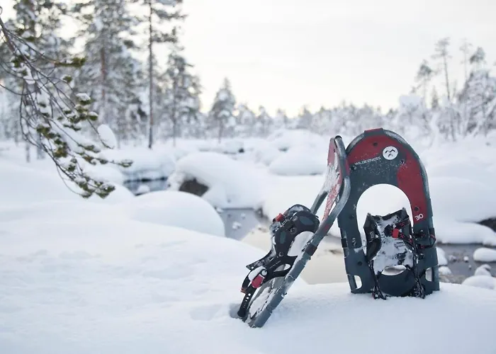 Wilderness Muotka & Igloos